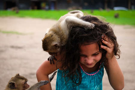LOPBURI, THAILAND - JUL 2: Unidentified girl with a monkey on her head on July 2,2016 in Lopburi, Thailand. Lopburi province is known as a city of monkey.のeditorial素材