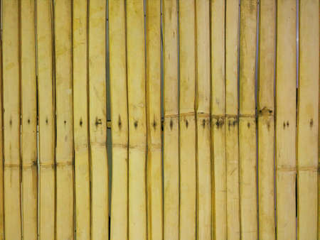 The bamboo textureの素材