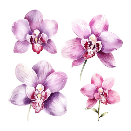 Watercolor orchid flowers set. Hand painted illustration isolated on white backgroundのイラスト素材