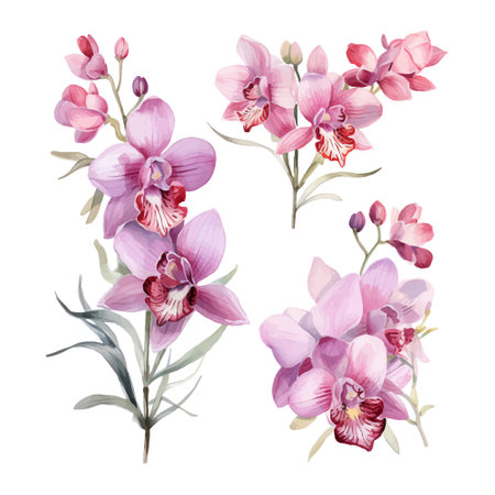 Watercolor set of orchids. Hand drawn vector illustration.のイラスト素材