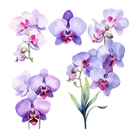 Watercolor set of orchids on a white background. Vector illustrationのイラスト素材