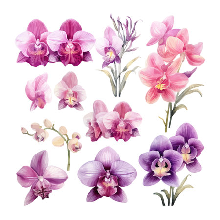 Set of watercolor orchids isolated on white background. Vector illustration.のイラスト素材