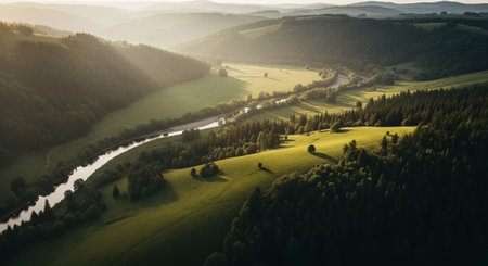 Aerial view of beautiful landscape with river and forest in the morningの素材