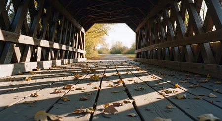 Wooden bridge with autumn leaves in the park. Selective focus.の素材