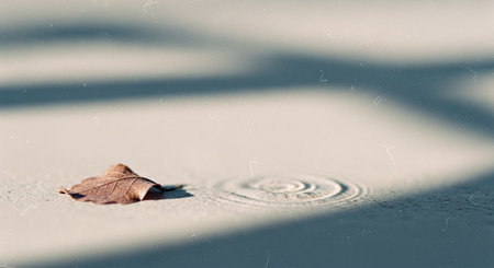 Fallen leaf on the water surface with a drop of water.の素材