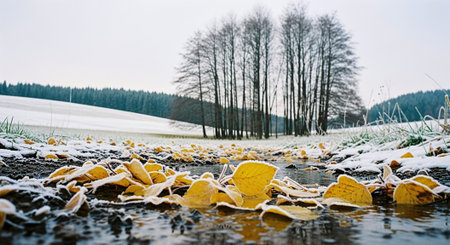 A serene winter landscape featuring a stream lined with yellow leaves, surrounded by snow-covered ground and trees in the backgroundの素材