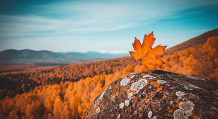 A single orange maple leaf resting on a mossy rock, with a scenic view of autumn trees and mountains in the backgroundの素材