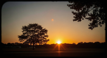 A serene sunset over a field, with a silhouette of a tree in the foreground and vibrant orange and yellow hues in the skyの素材