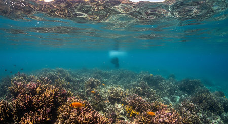 Vibrant Underwater Coral Reef Landscapeの素材