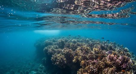 Underwater view of coral reef with tropical fish, underwater landscape.の素材