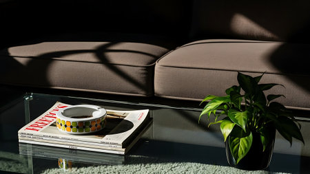 Interior of living room with sofa, coffee cup and houseplantの素材