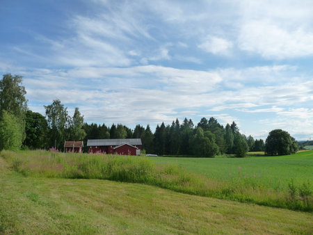 A red barn on a green field with trees in the background. Beautiful summer time landscape in Norway.の写真素材