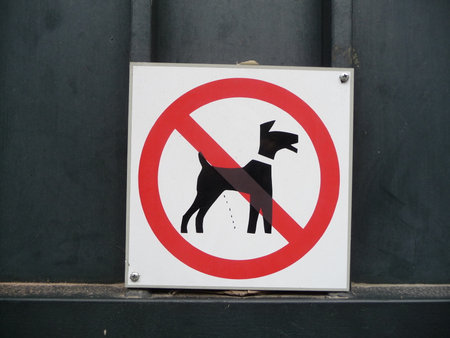 No dog allowed sign on a street in Helsinki, Finlandの写真素材