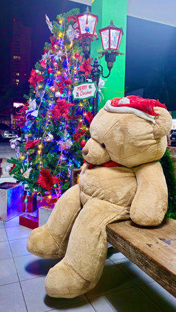 Teddy bear in a red cap sits on a bench next to Christmas treeの写真素材