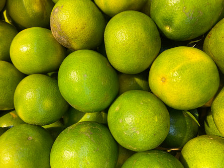 Limes in the market. Close-up. Shallow depth of field.の写真素材