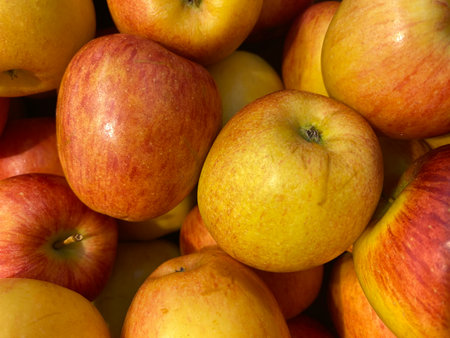 Red striped apples for sale in a shopの写真素材