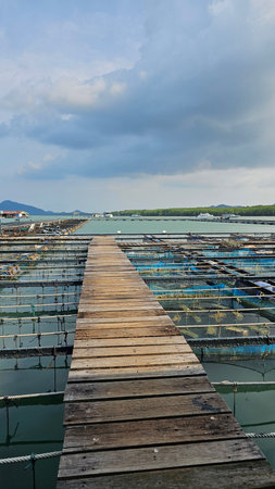 Oyster farm at Phuket province, Thailand.の写真素材