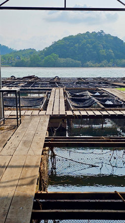 Wooden pier over the sea in Thailand.の写真素材