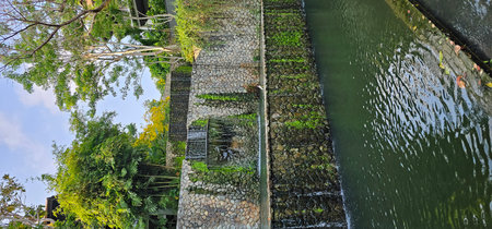 View of the river in a park in Phuket, Thailand.の写真素材