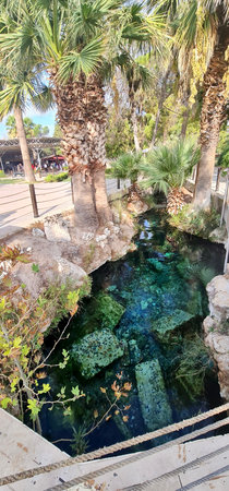 October, 8, 2022, Pamukkale, Turkey. Crystal clear thermal waters with submerged ancient Roman ruins and palm trees at Cleopatra's Pool in Hierapolis.のeditorial素材