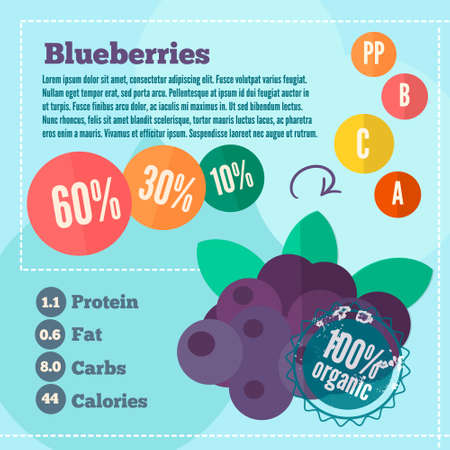 Blueberries and vitamins infographics in a flat style. Vector illustration EPS 10のイラスト素材