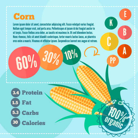 Infographics Corn and vitamins in a flat style. Vector illustration. EPS 10のイラスト素材