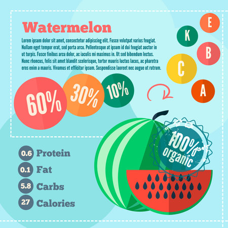 Infographics watermelon and vitamins in a flat style. Vector illustration. EPS 10のイラスト素材