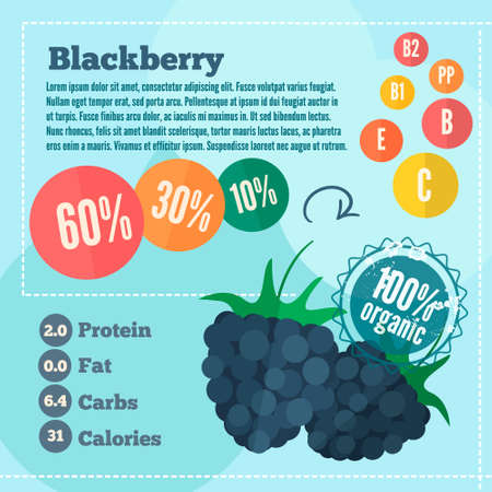 blackberry and vitamins infographics in a flat style. Vector illustration EPS 10のイラスト素材