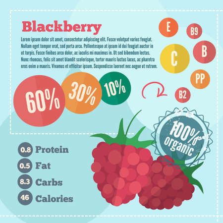 Raspberry and vitamins infographics in a flat style. Vector illustration EPS 10のイラスト素材