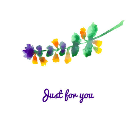 Wildflower. Watercolor floral illustration.  Floral decorative element. Vector vintage  floral background. Illustration for invitations, greeting cards, covers and other items.のイラスト素材