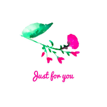 Wildflower. Watercolor floral illustration.  Floral decorative element. Vector vintage  floral background. Illustration for invitations, greeting cards, covers and other items.のイラスト素材