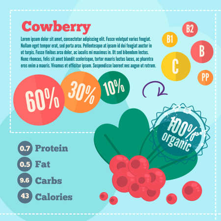 Cowberry infographics. Cowberry template with vitamins and calories for market use. Organic food concept.のイラスト素材