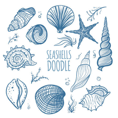 Set of seashells on white background. Hand drawn doodle seashells, starfish, seaweed and coral. Seashells vector illustration.のイラスト素材