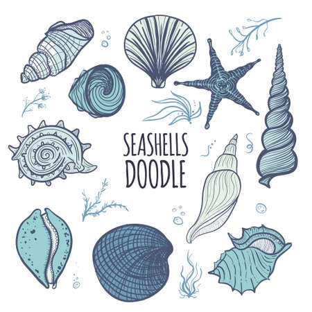Colorful set of seashells on white background. Hand drawn seashells, starfish, seaweed and coral. Creative seashells of different type.のイラスト素材
