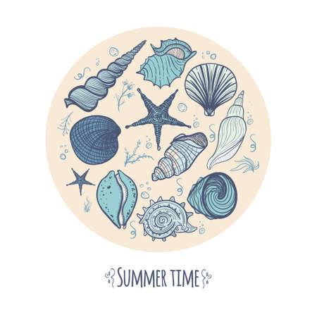 Set of seashells in a circle. Hand drawn doodle seashells, starfish, seaweed and coral. Seashells concept vector illustration.のイラスト素材