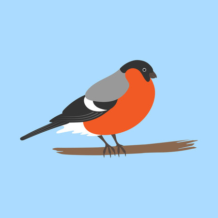 Bullfinch iconのイラスト素材