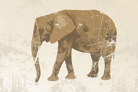 Vintage poster with elephant on grungy background - with room for textのイラスト素材