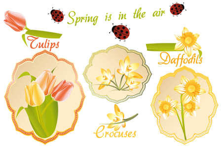 Vintage labels with the spring flowers: tulips, crocuses, daffodils and ladybugsのイラスト素材
