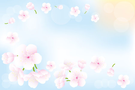 Flying cherry-blossoms in spring - seasonal background with place for textのイラスト素材