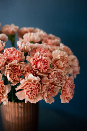 Romantic bouquet of peach carnation flowers in the stylish golden vase on a blue wall background.の写真素材