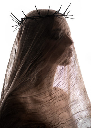 Portrait of beauty woman with hairhoop veilの写真素材