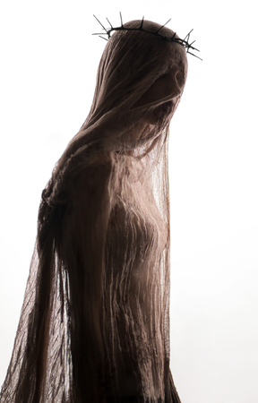 Portrait of beauty woman with hairhoop veil on the white backgroundの写真素材