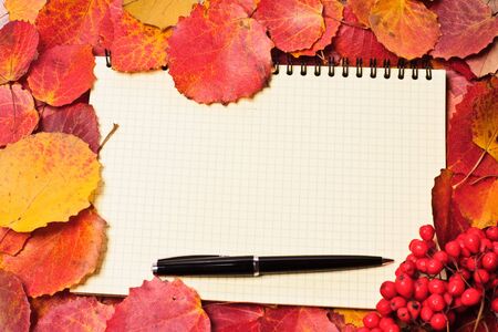 background from autumn leavesの写真素材