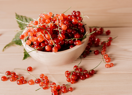 Ripe red currant berriesの写真素材