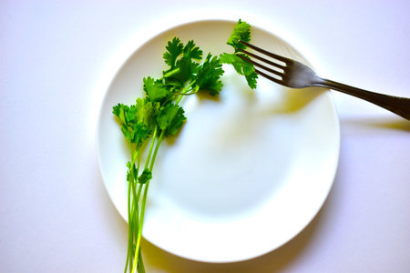 Green salad on a white plate and an iron fork
