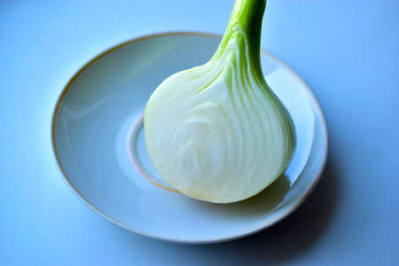 Half a white onion on a white plate on the windowsillの写真素材