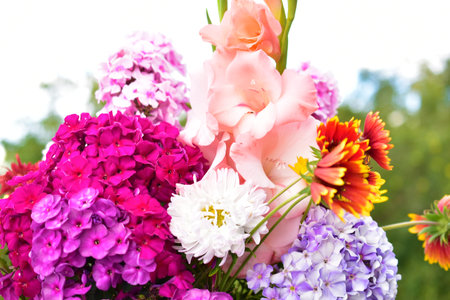 Beautiful autumn bouquet of flowers on the background of the garden
