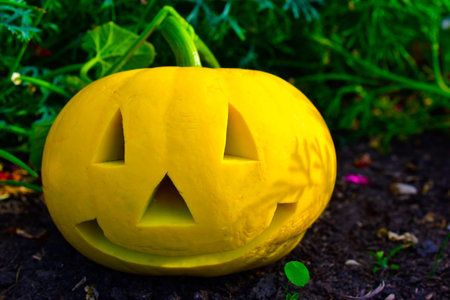 Yellow pumpkin with a carved face in the garden