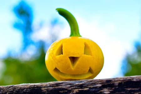 Yellow pumpkin with a carved face in the gardenの写真素材