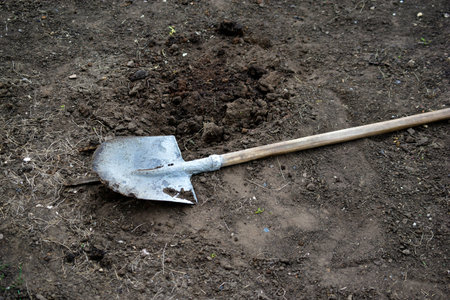 Garden iron shovel on the background of excavated soil